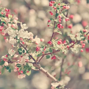 Love & Care dag retreat