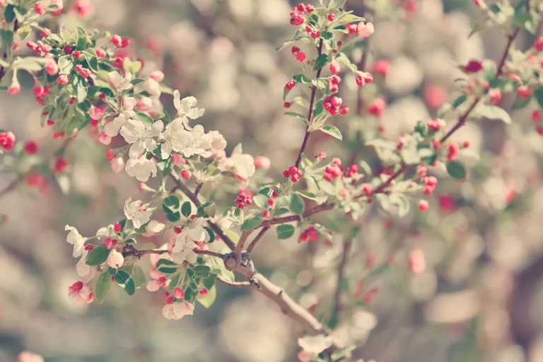 Love & Care dag retreat