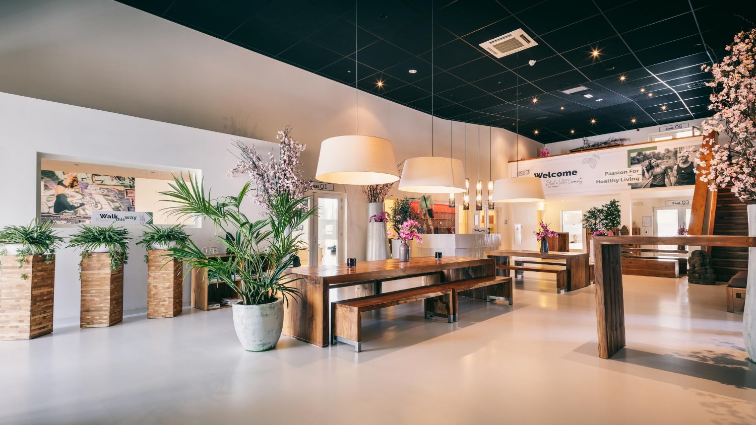 Contact Black & White